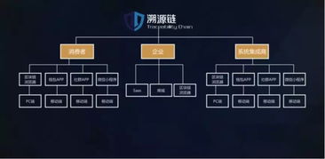500萬(wàn)美元A輪融資背后的商業(yè)藍(lán)圖 TAC溯源鏈與信息系統(tǒng)集成服務(wù)的深度融合
